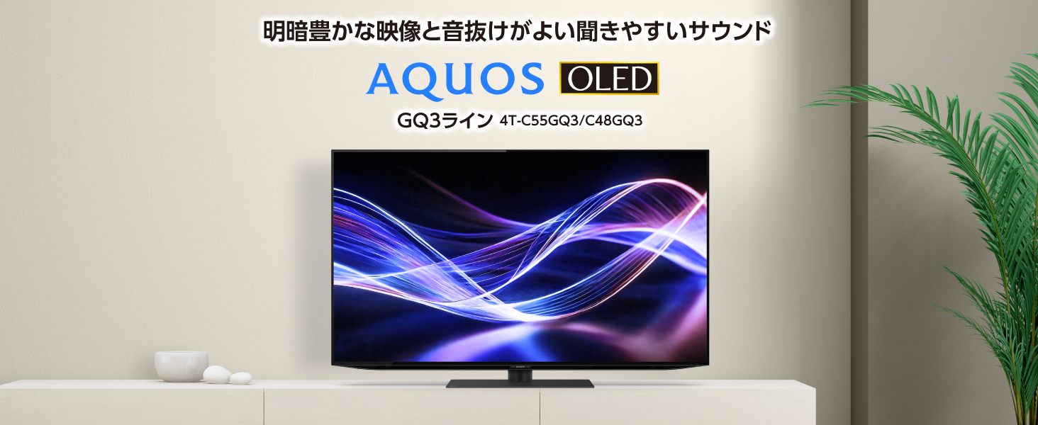 4T-C55GQ3