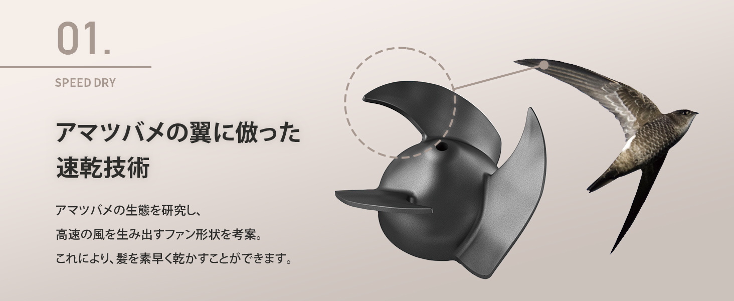 アマツバメの翼に倣った速乾技術