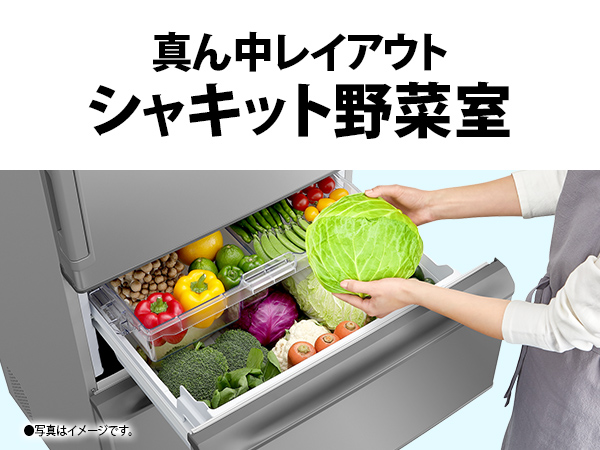 真ん中レイアウト シャキット野菜室