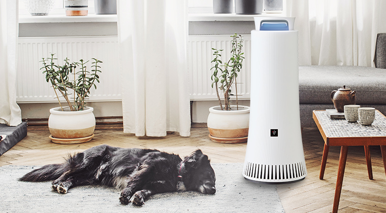 What's 除菌脱臭機