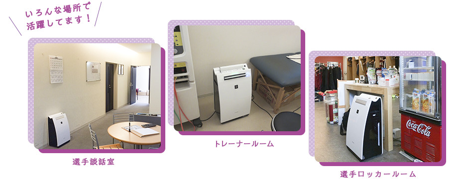 いろんな場所で活躍してます！