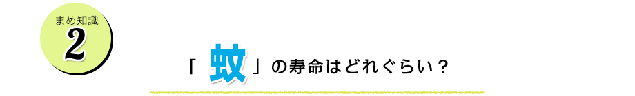 蚊の寿命はどれぐらい？