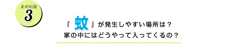 蚊が発生しやすい場所は？家の中にはどうやって入ってくるの？