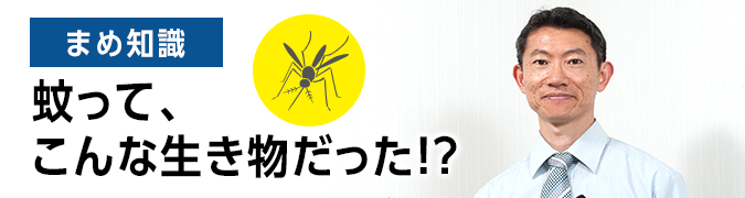 蚊ってこんな生き物だった！？