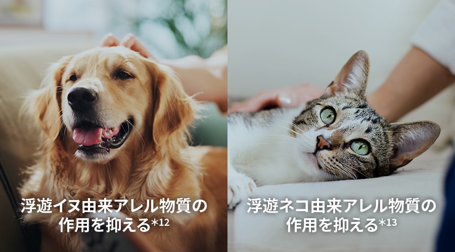 浮遊イヌ・ネコ由来のアレル物質の作用を抑える