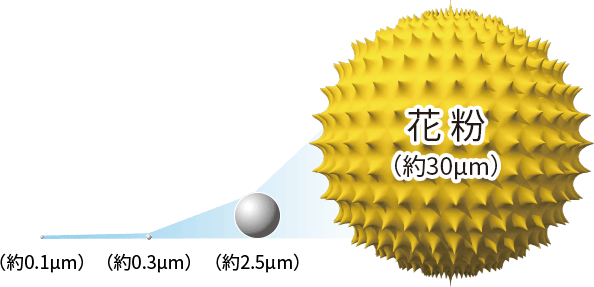 粒子の大きさイメージ、花粉は約30マイクロメートル