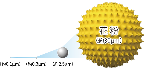 粒子の大きさイメージ、花粉は約30マイクロメートル
