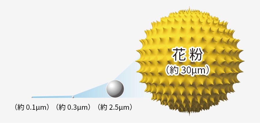 0.1マイクロメートルから2.5マイクロメートルの微小粒子と花粉の大きさの比較イメージ。花粉は約30マイクロメートル