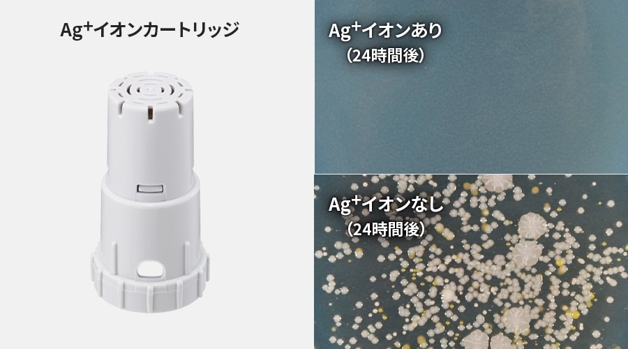 銀イオンあり、なしで24時間後の生菌数を比較した写真。銀イオンがない場合、菌が繁殖します。