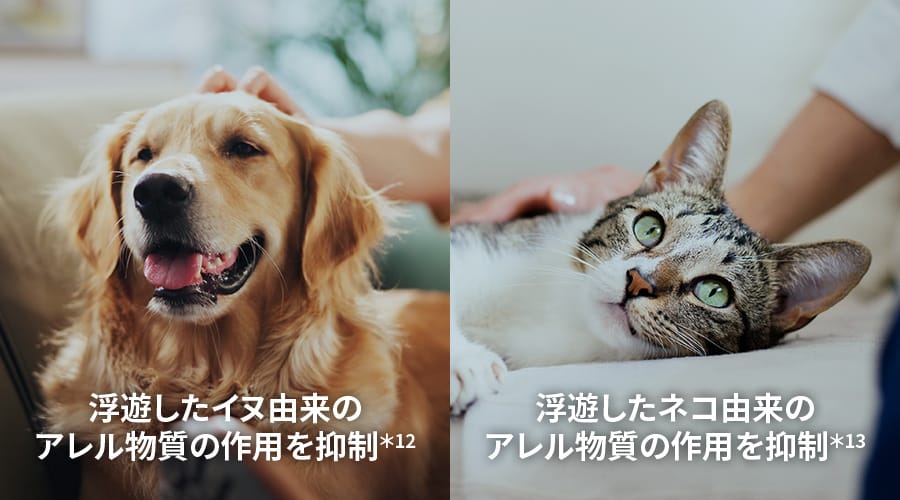 浮遊したイヌ・ネコ由来のアレル物質の作用を抑制