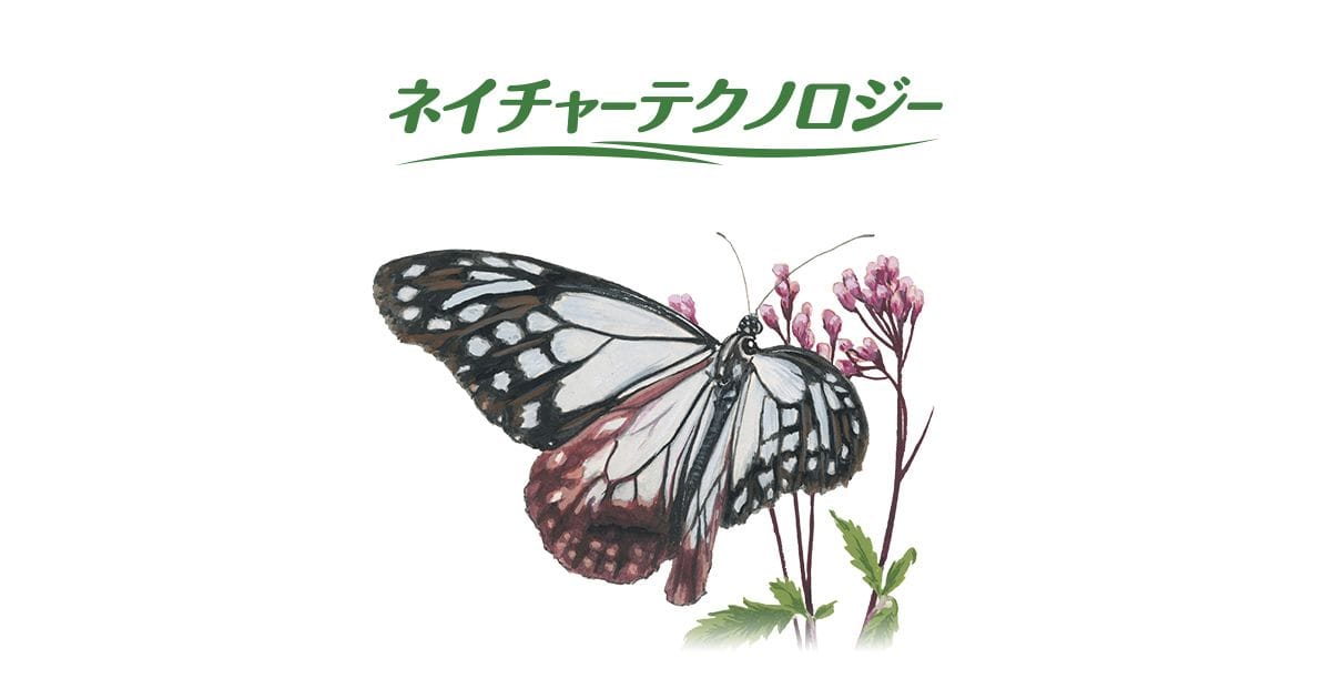 蝶々効果ページ 日本上陸記念セール】吉兆のシンボル幸運を運ぶアゲハ蝶セレブお墨付き