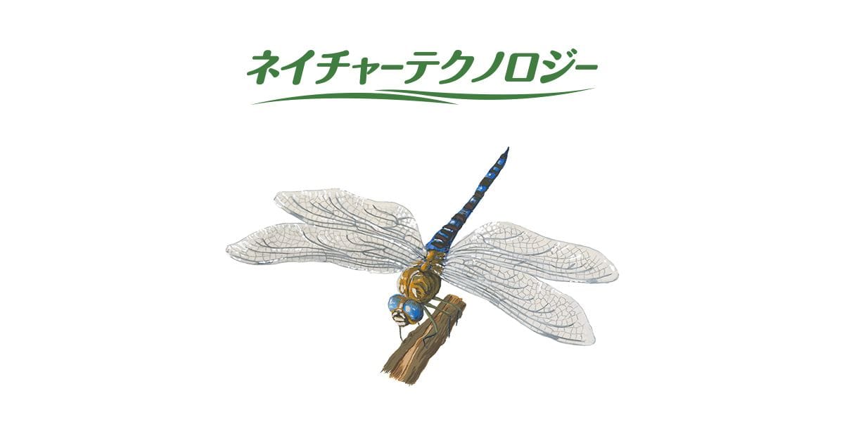 トンボ | ネイチャーテクノロジー：シャープ