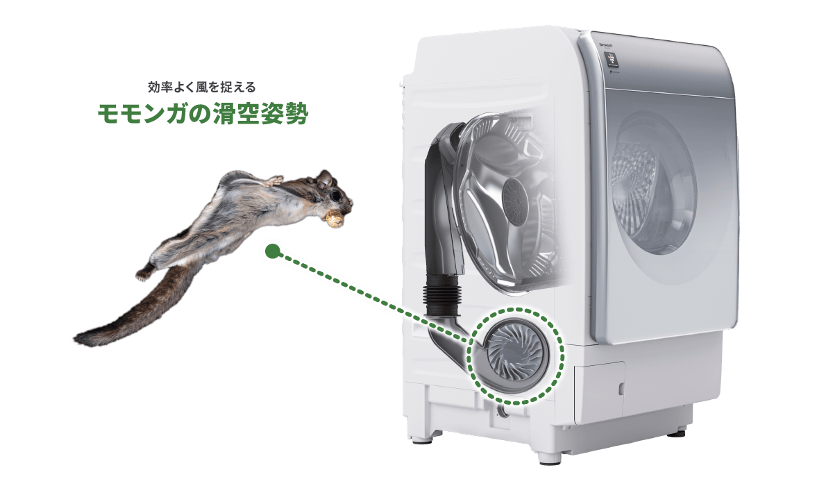 効率よく風を捉えるモモンガの滑空姿勢
