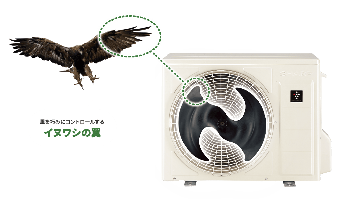 風を巧みにコントロールするイヌワシの翼