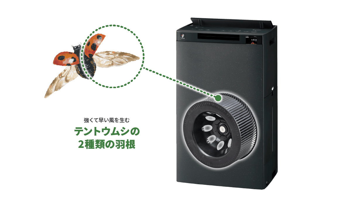 強くて早い風を生むテントウムシの2種類の羽根