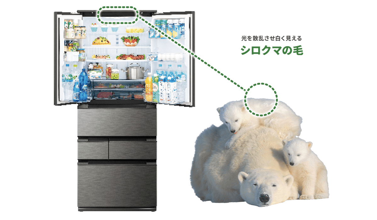光を散乱させ白く見えるシロクマの毛