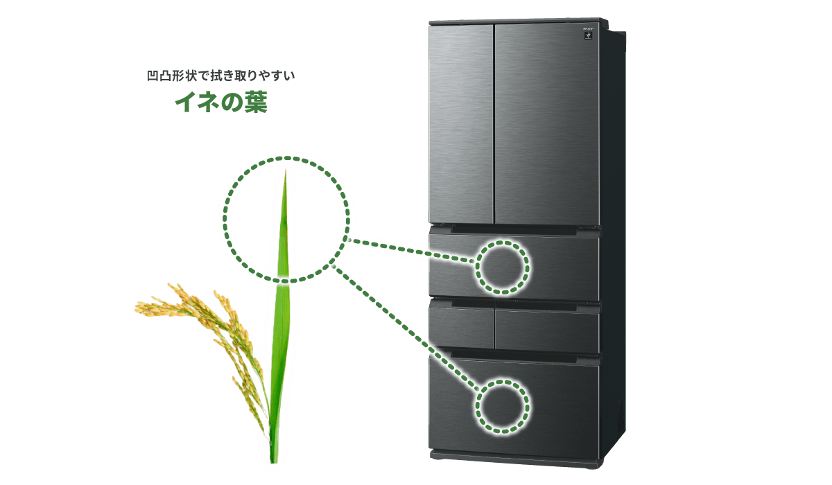 凹凸形状で拭き取りやすいイネの葉