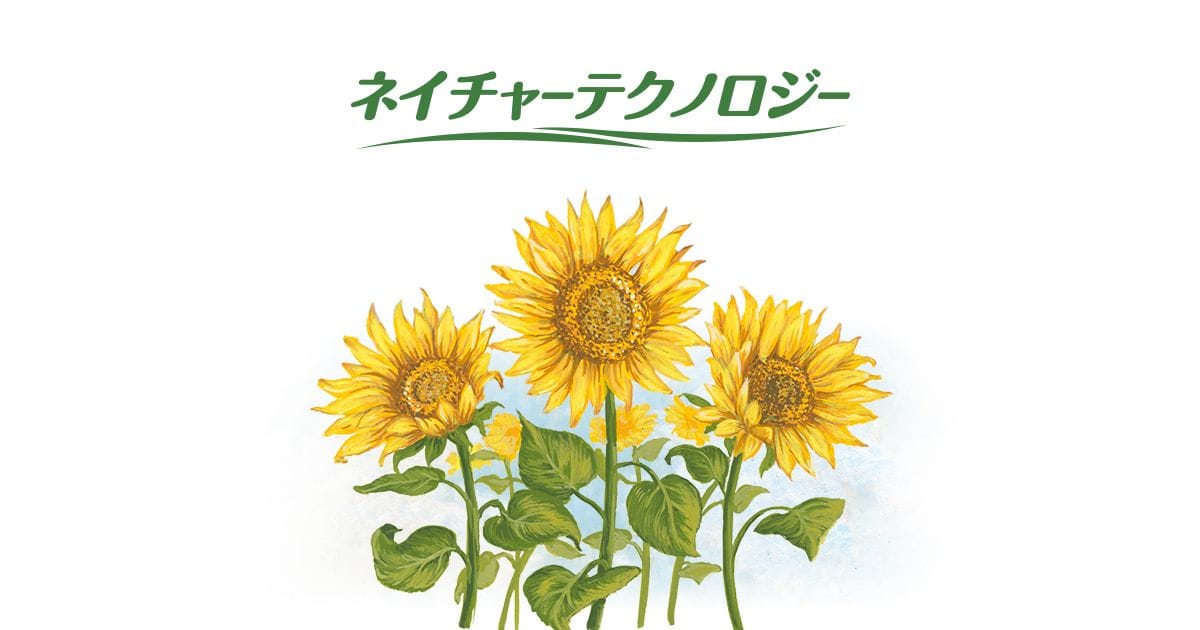 ヒマワリ | ネイチャーテクノロジー：シャープ