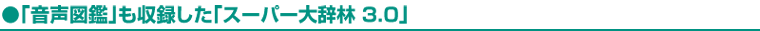 u}Ӂv^uX[p[厫 3.0v