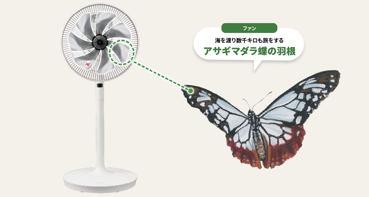 ファンには海を渡り数千キロも旅をするアサギマダラ蝶の羽根が採用されています
