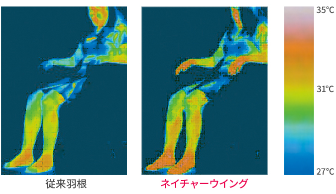 サーモグラフィーによる被験者の体表面温度変化の測定結果例