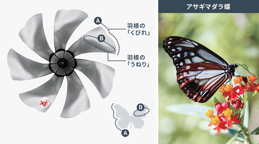 アサギマダラ蝶の羽根を応用した、ネイチャーウイングの説明図