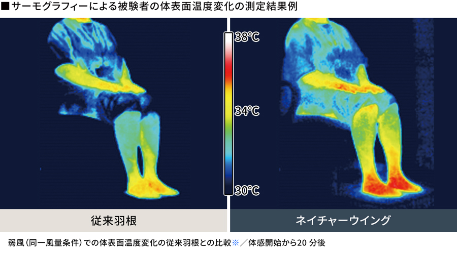 サーモグラフィーによる被験者の体表面温度変化の測定結果イメージ図