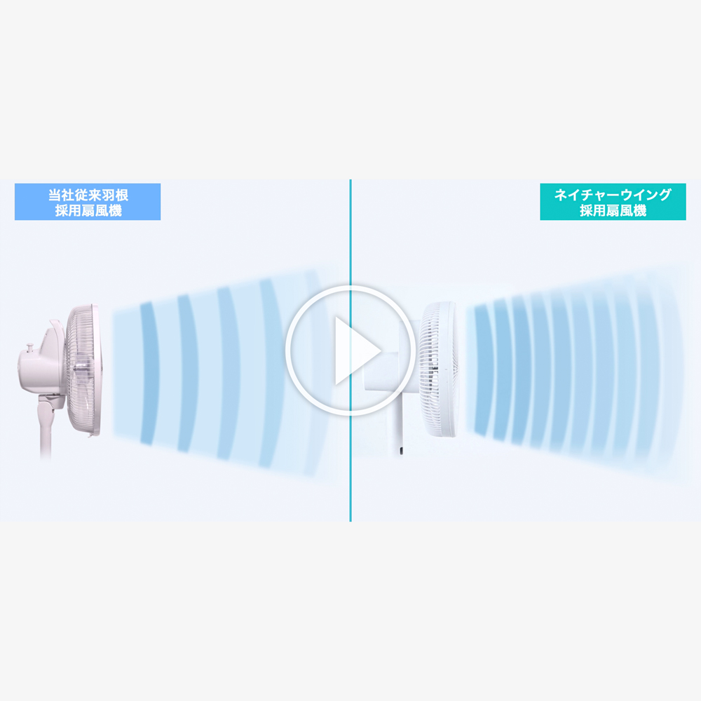 なめらかな風の秘密動画