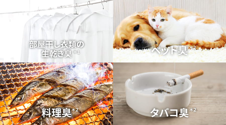 部屋干し衣類の生乾き臭、ペット臭、料理臭、タバコ臭