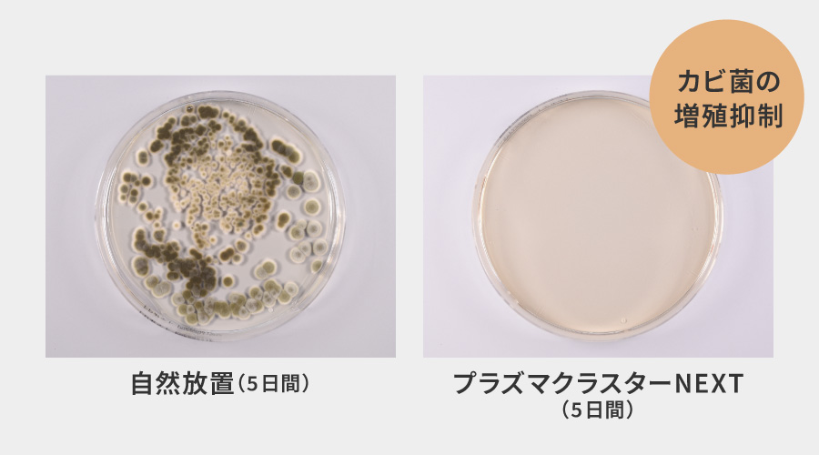 5日間自然放置した場合は付着カビ菌が増殖するが、5日間プラズマクラスターNEXTで除湿した場合は付着カビ菌の増殖を抑制することを示す実験結果画像。