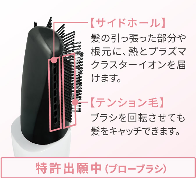 特許出願中(ブローブラシ)