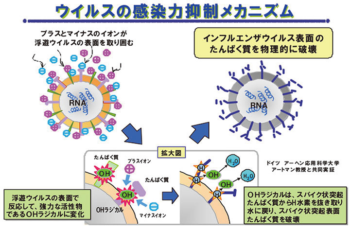 【図】ウイルスの感染力抑制のメカニズム