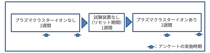 図2. 試験の流れ