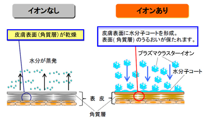 肌保湿メカニズム（イメージ図）水分子コーティング機能