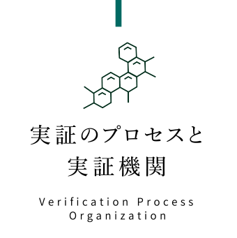 実証のプロセスと実証機関 Verification Process Organization