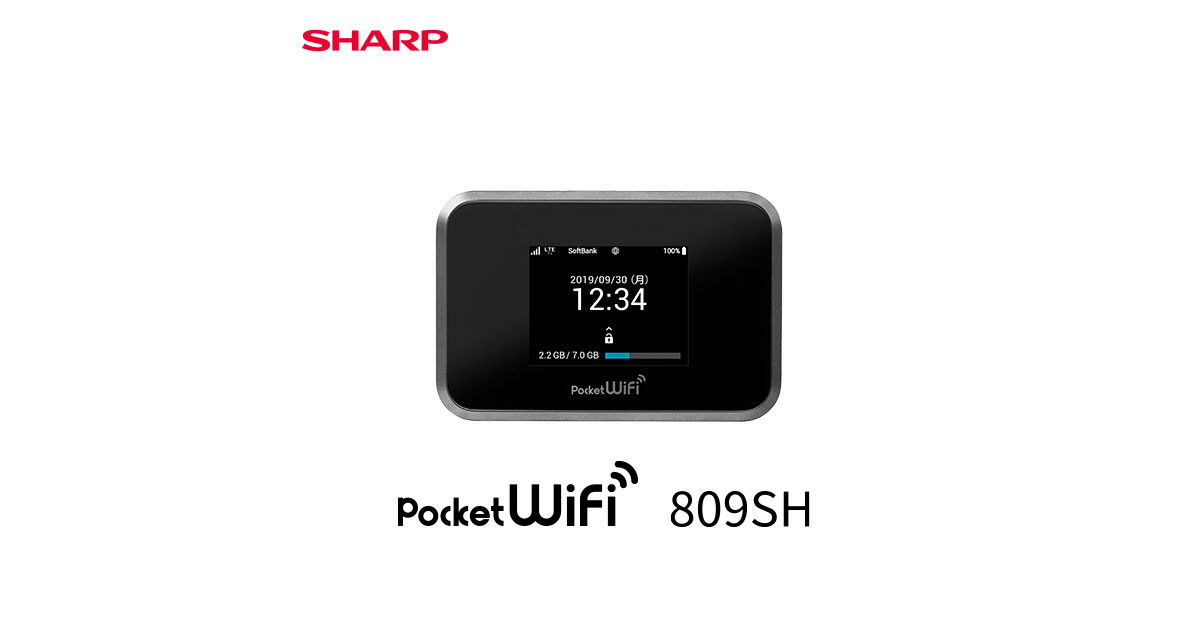 13780円 WEB限定カラー ほぼ未使用 Pocket WiFi 809SH SoftBank ルーター付属品