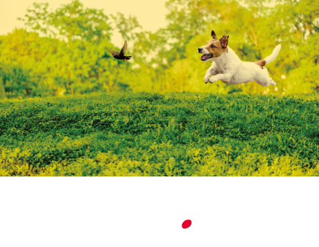 Propix AQUOS R3
