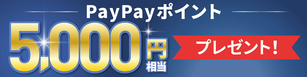 PayPayポイント5000円相当プレゼント！