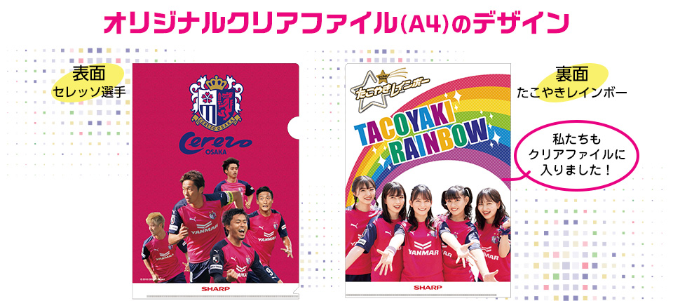 オリジナルマスクケース非売品(抗菌)の詳細