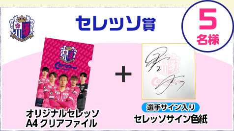 セレッソ賞