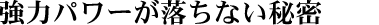 ̓p[Ȃ閧