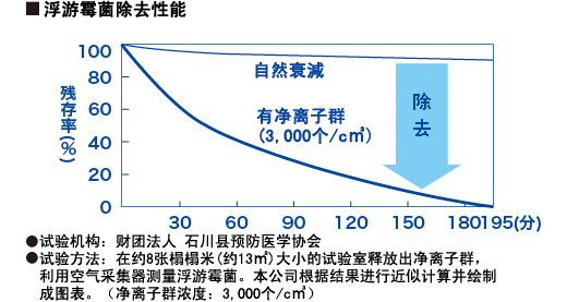 分解并除去霉菌