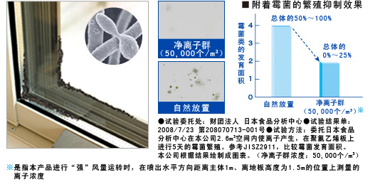 抑制附着霉菌的生长
