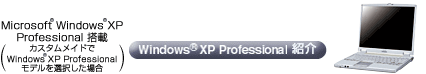 Windows XP Professional 