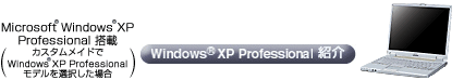 Windows XP Professional 
