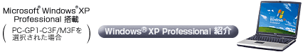 Windows XP Professional 