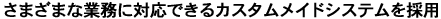 ܂܂ȋƖɑΉłJX^ChVXe̗p