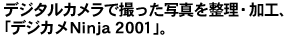 ufWJNinja 2001v