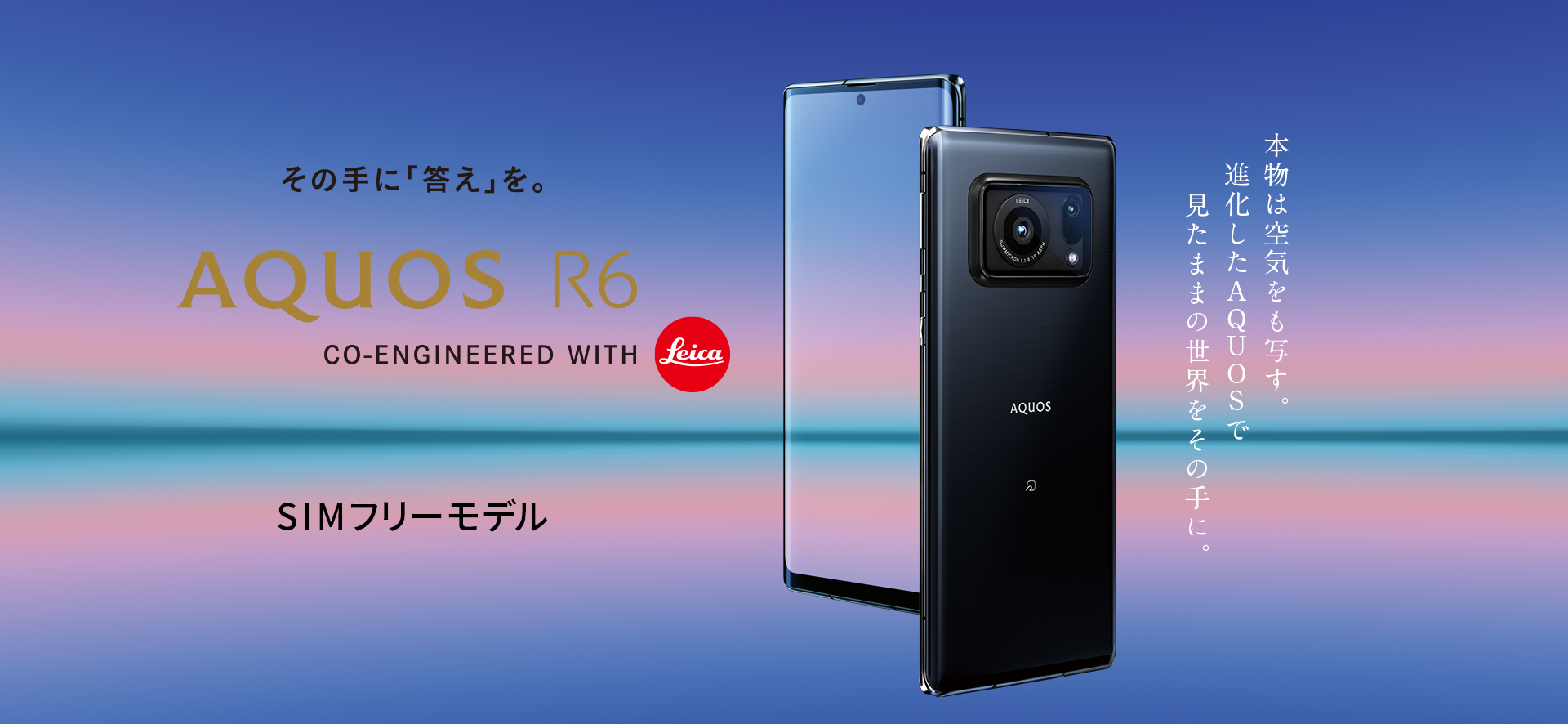 AQUOS R6 SIMフリー