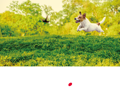 Propix AQUOS R3